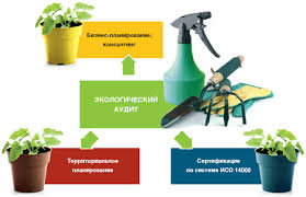 провести экологический аудит